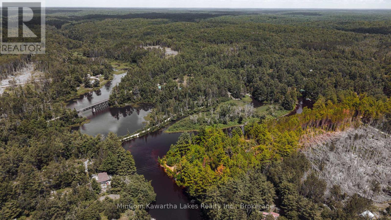 1503 Boldts Lane, Minden Hills, Ontario  K0M 2A1 - Photo 15 - X13548384