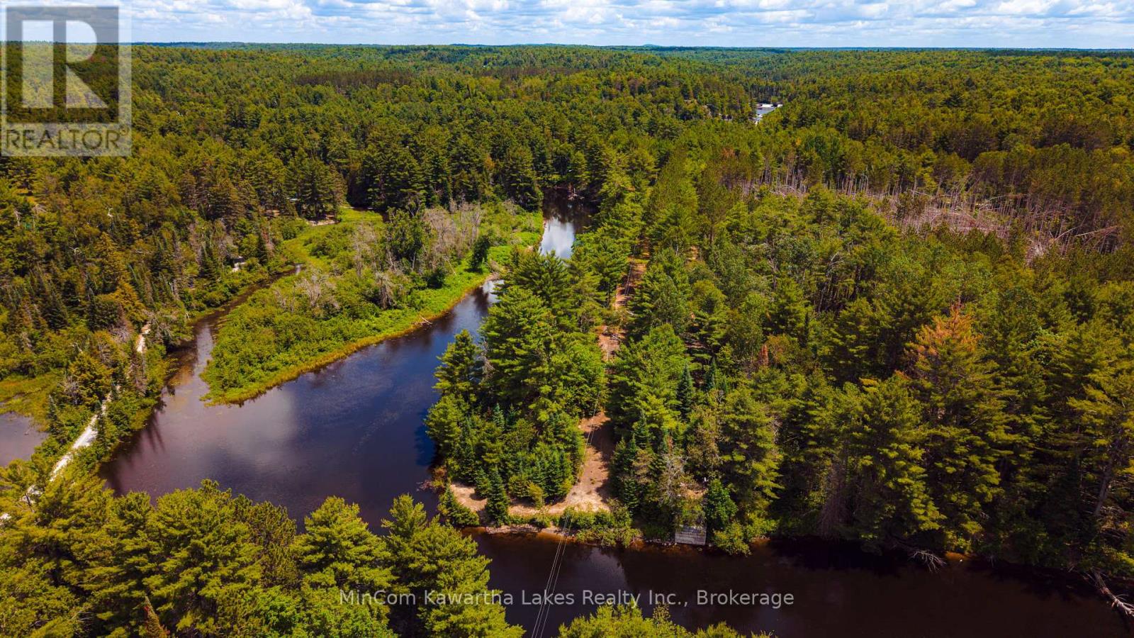 1503 Boldts Lane, Minden Hills, Ontario  K0M 2A1 - Photo 16 - X13548384