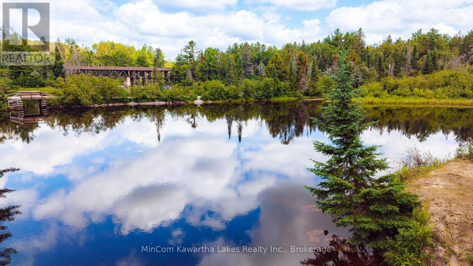 1503 Boldts Lane, Minden Hills, Ontario  K0M 2A1 - Photo 26 - X13548384