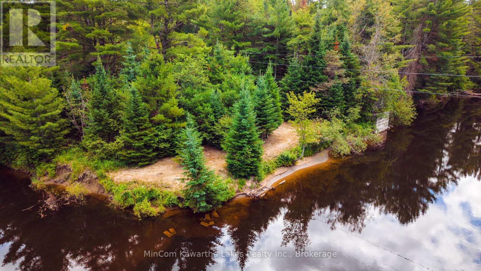 1503 Boldts Lane, Minden Hills, Ontario  K0M 2A1 - Photo 29 - X13548384