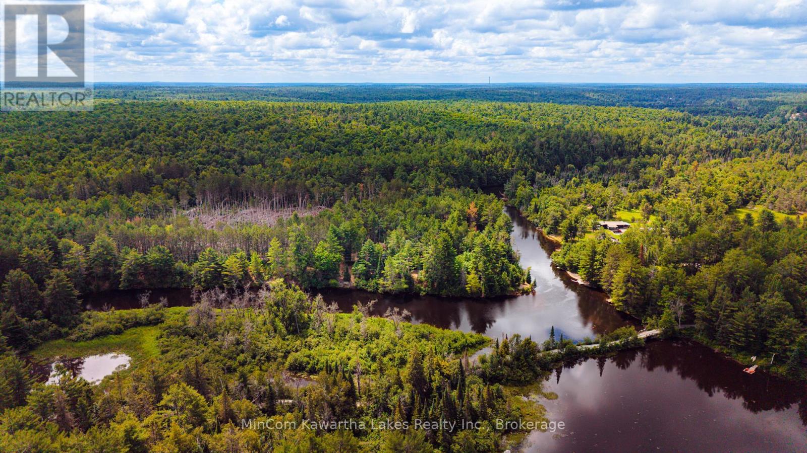 1503 Boldts Lane, Minden Hills, Ontario  K0M 2A1 - Photo 33 - X13548384