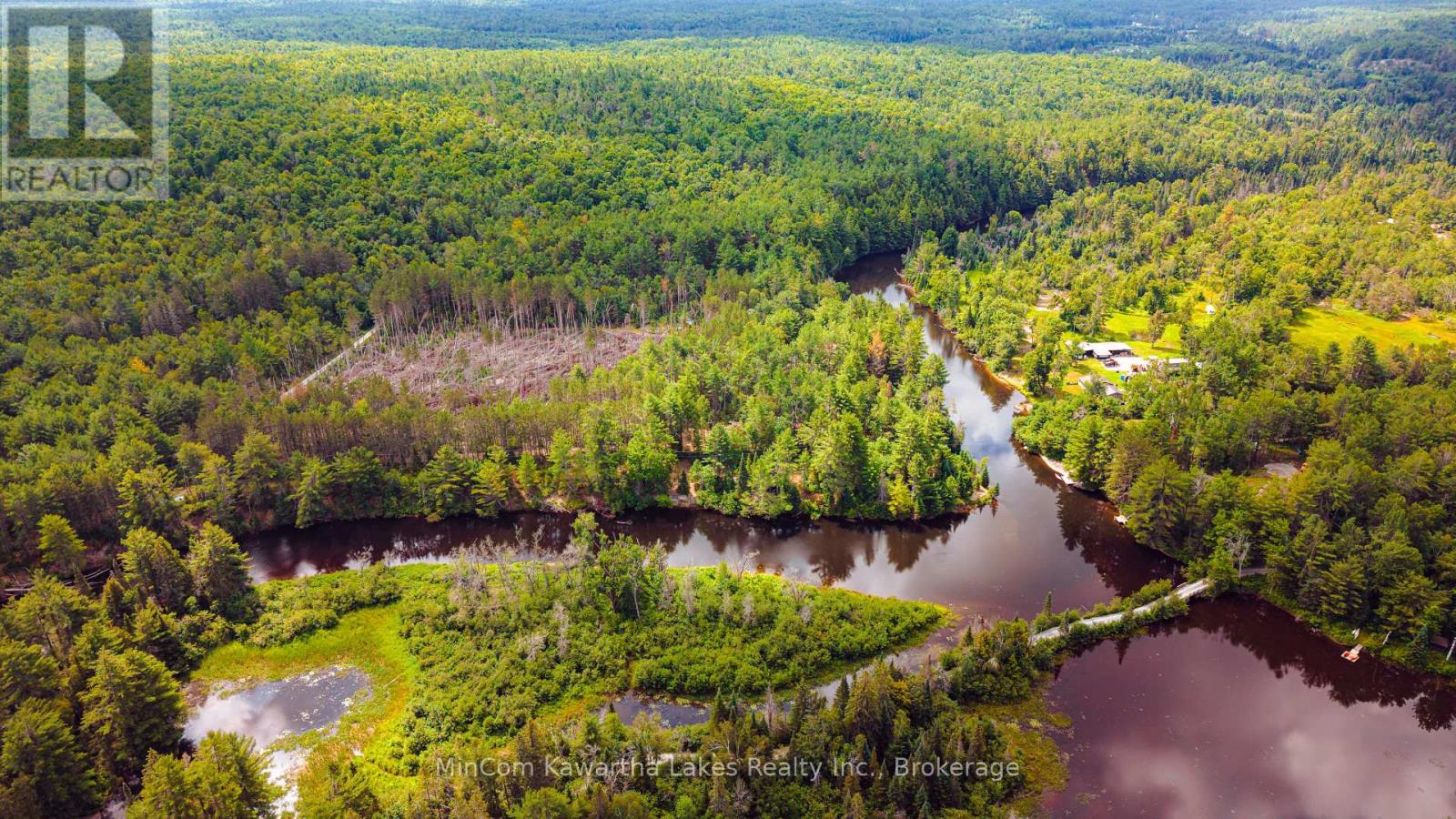 1503 Boldts Lane, Minden Hills, Ontario  K0M 2A1 - Photo 34 - X13548384