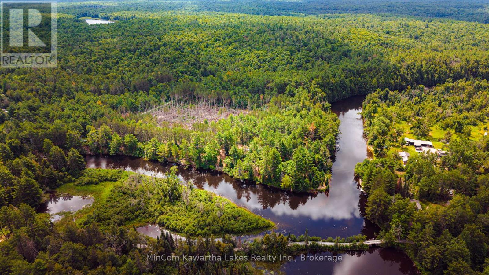 1503 Boldts Lane, Minden Hills, Ontario  K0M 2A1 - Photo 35 - X13548384