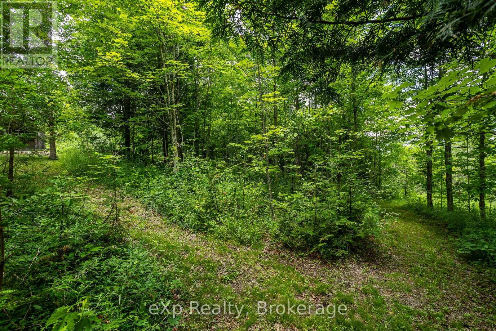 720232 Sideroad 20, Chatsworth, Ontario  N0H 1R0 - Photo 43 - X13542204