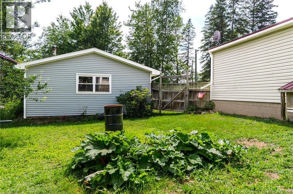 4 Back Road, Summerfield, New Brunswick  E4G 2L2 - Photo 28 - NB143577