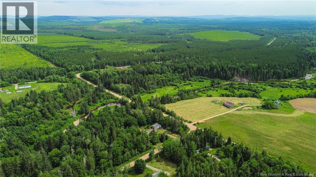 4 Back Road, Summerfield, New Brunswick  E4G 2L2 - Photo 40 - NB143577