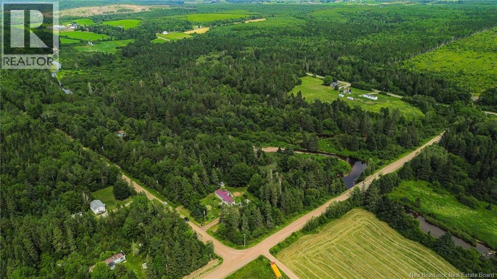 4 Back Road, Summerfield, New Brunswick  E4G 2L2 - Photo 42 - NB143577