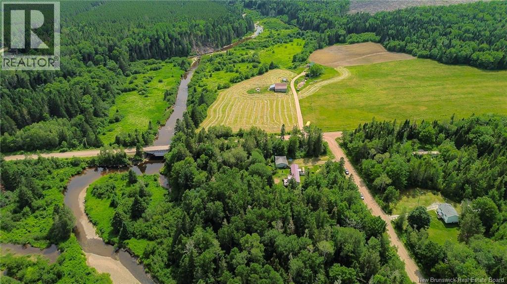 4 Back Road, Summerfield, New Brunswick  E4G 2L2 - Photo 38 - NB143577