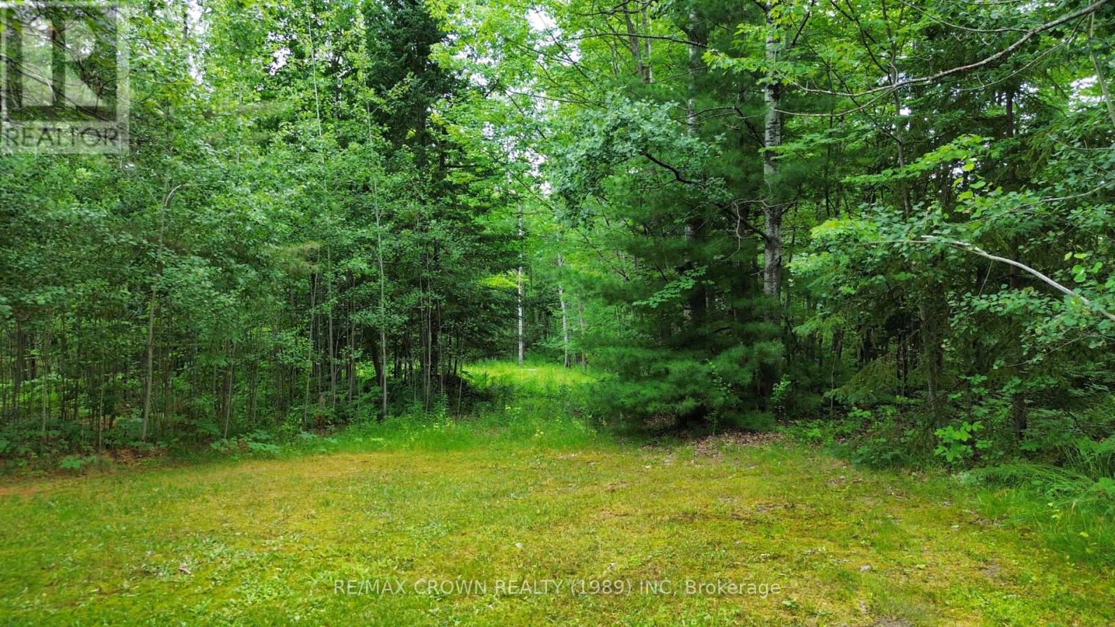 36 Jones Road, Nipissing, Ontario  P0H 1H0 - Photo 38 - X13420310