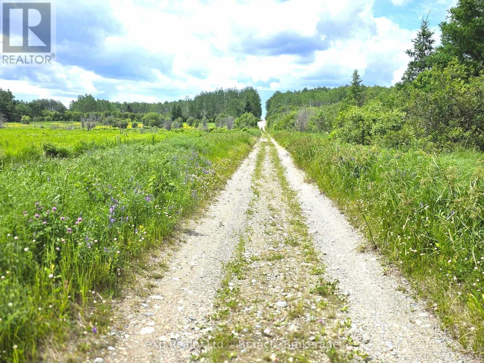 Pcl 3625 Lt4 Con 2 Road, Black River-Matheson, Ontario  P0K 1R0 - Photo 12 - T13496846