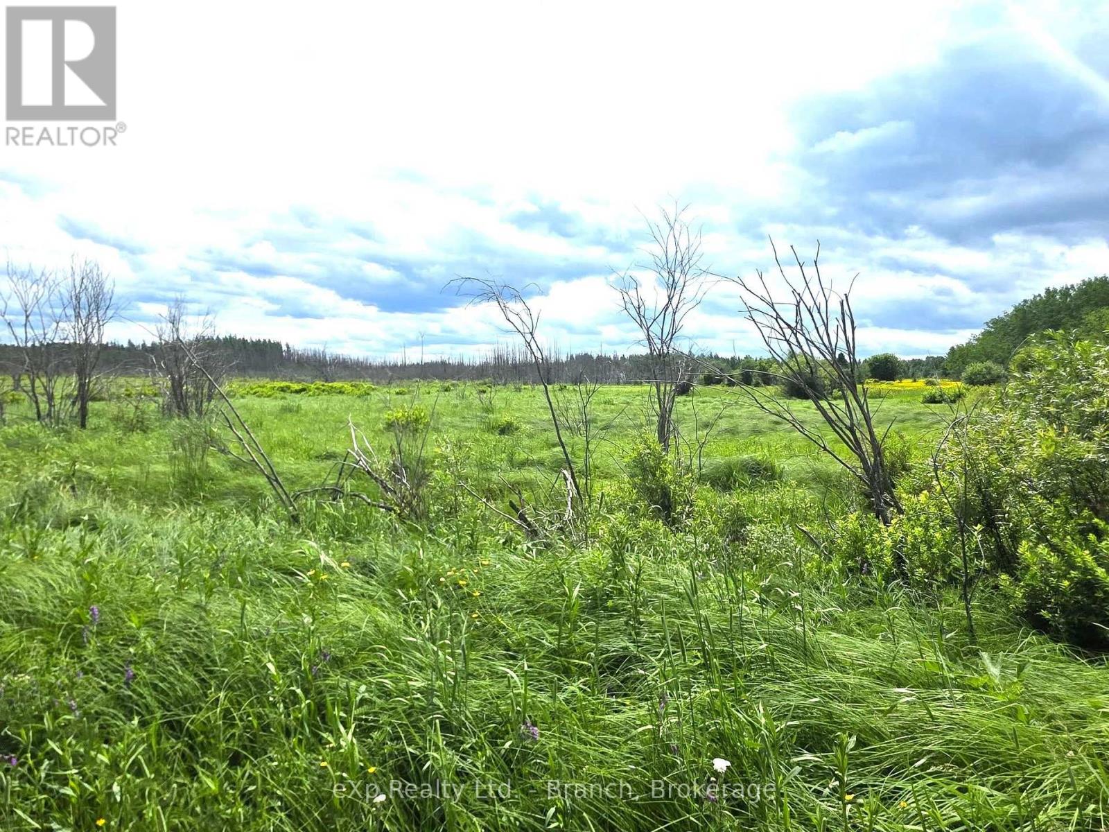 Pcl 3625 Lt4 Con 2 Road, Black River-Matheson, Ontario  P0K 1R0 - Photo 14 - T13496846