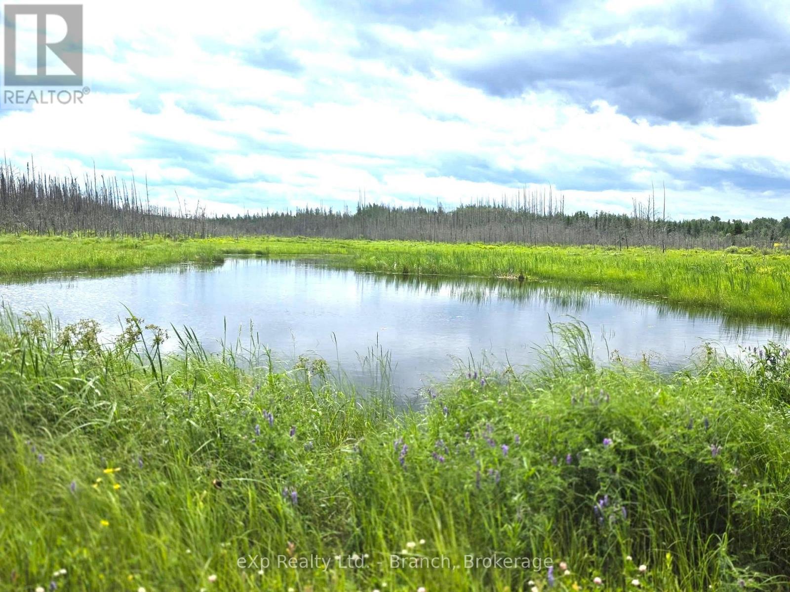 Pcl 3625 Lt4 Con 2 Road, Black River-Matheson, Ontario  P0K 1R0 - Photo 7 - T13496846