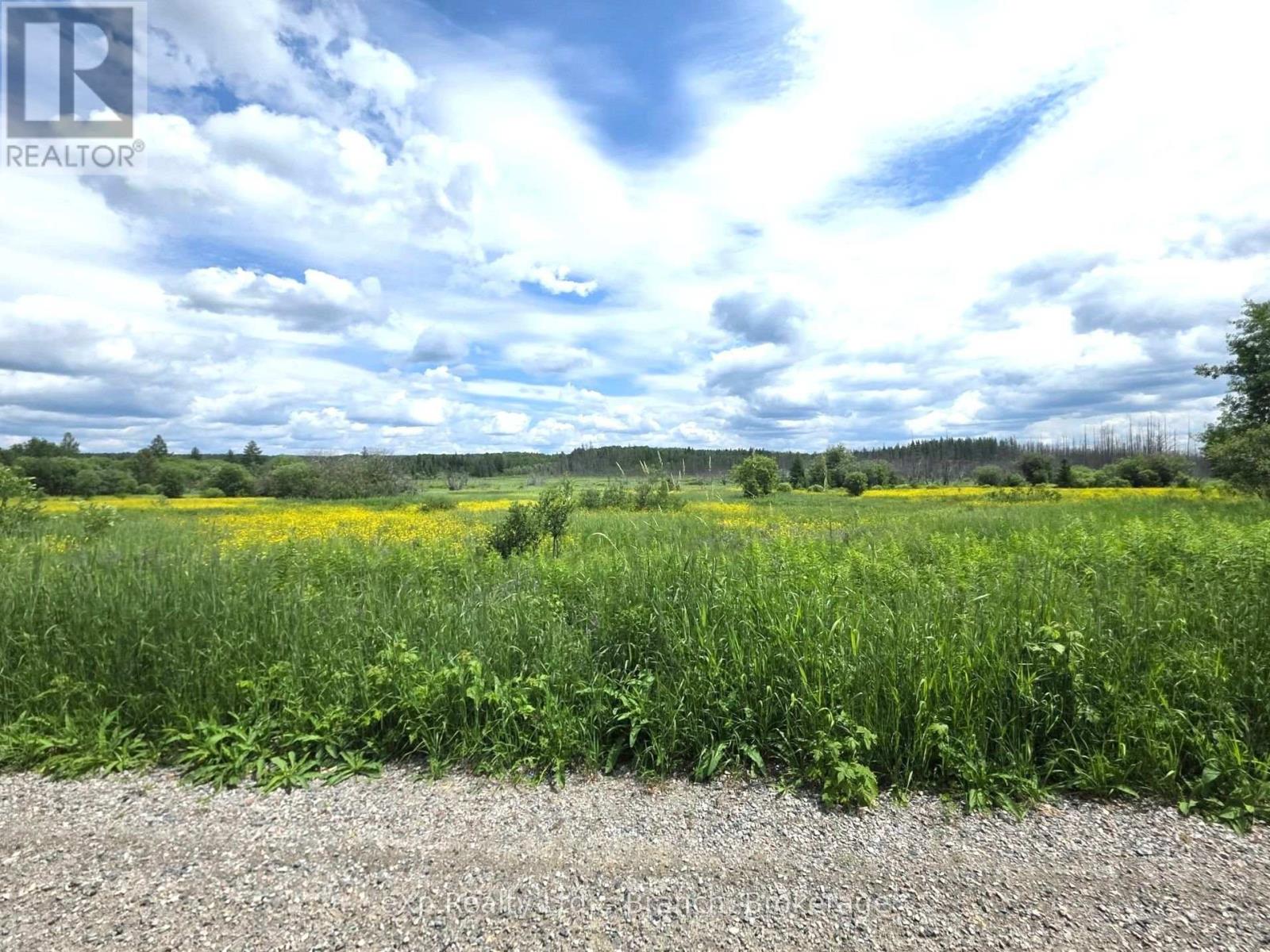 Pcl 3625 Lt4 Con 2 Road, Black River-Matheson, Ontario  P0K 1R0 - Photo 11 - T13496846