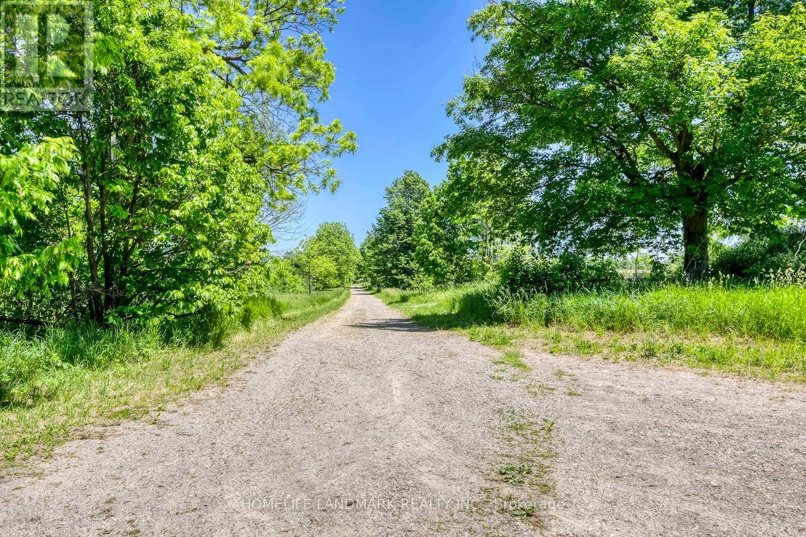 217 Carlisle Road, Hamilton, Ontario  L8N 2Z7 - Photo 13 - X13548844
