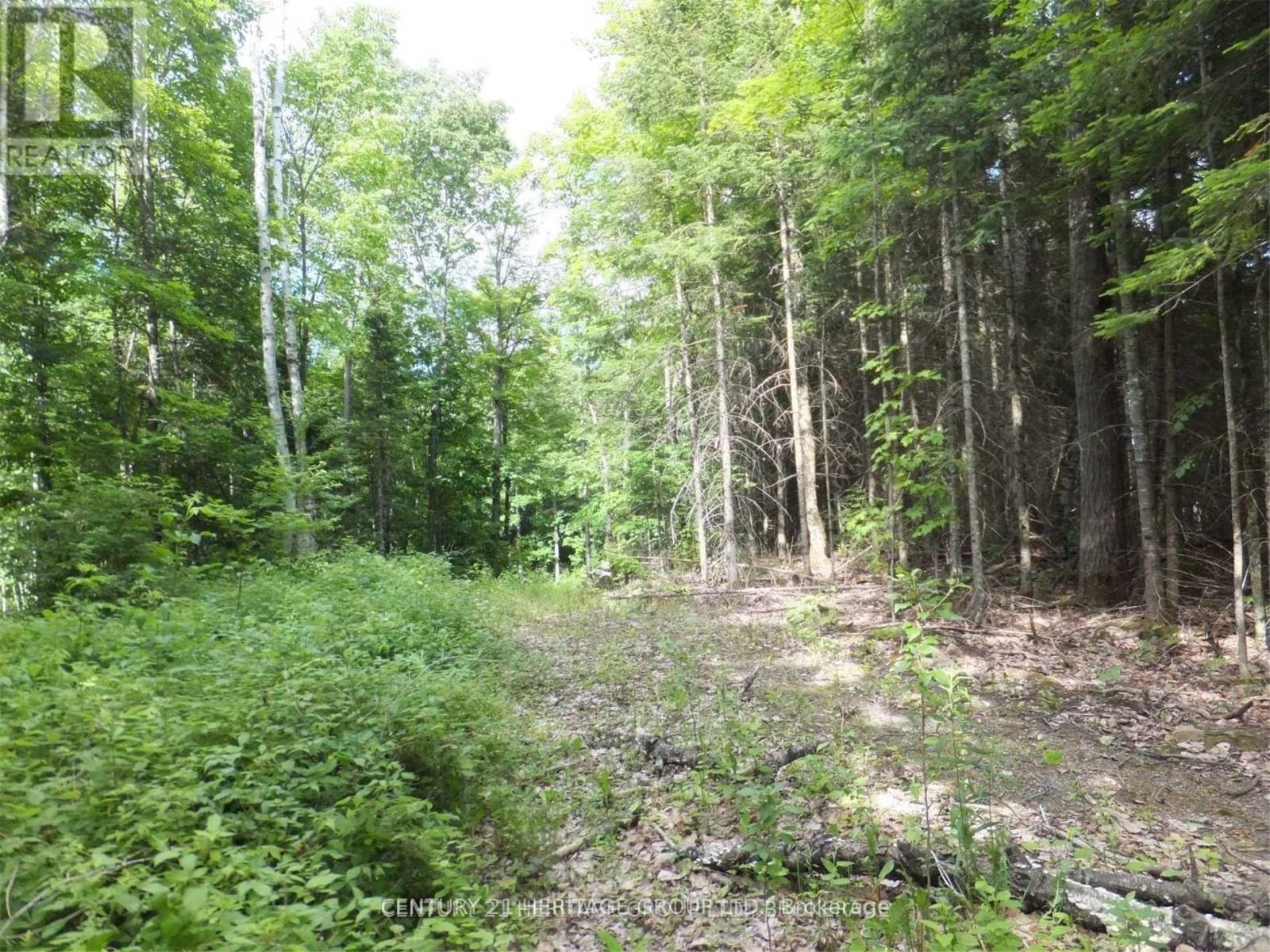 2080 Glamor Lake Road, Highlands East, Ontario  K0M 1R0 - Photo 3 - X12933146
