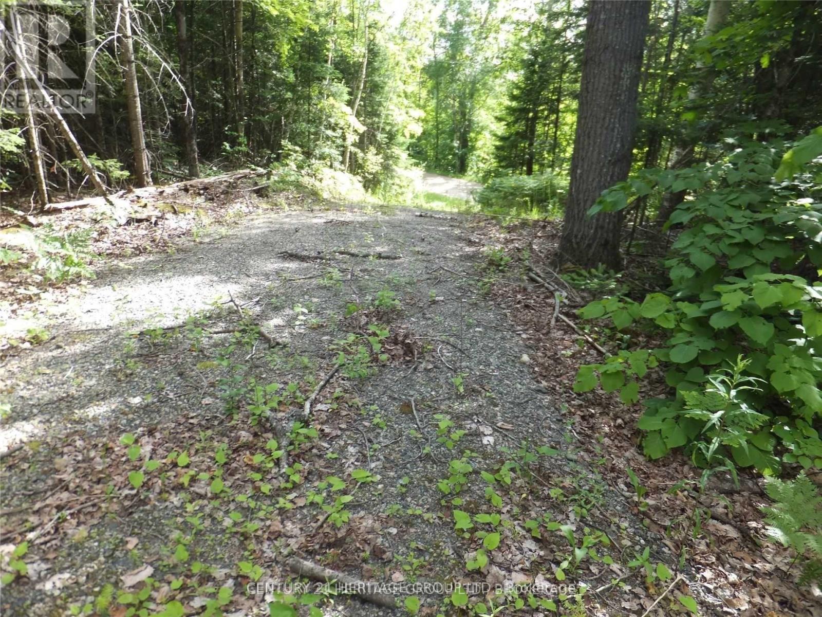 2080 Glamor Lake Road, Highlands East, Ontario  K0M 1R0 - Photo 2 - X12933146