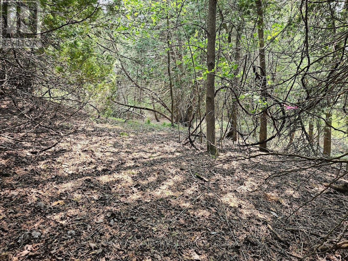0000 Cedarstone Road W, Stone Mills, Ontario  K0K 3G0 - Photo 6 - X13549394