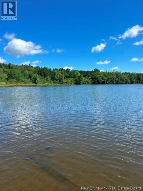 840 Bass River Point Road, Bass River, New Brunswick  E4T 1K4 - Photo 12 - NB137128