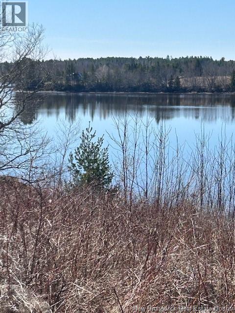 840 Bass River Point Road, Bass River, New Brunswick  E4T 1K4 - Photo 15 - NB137128