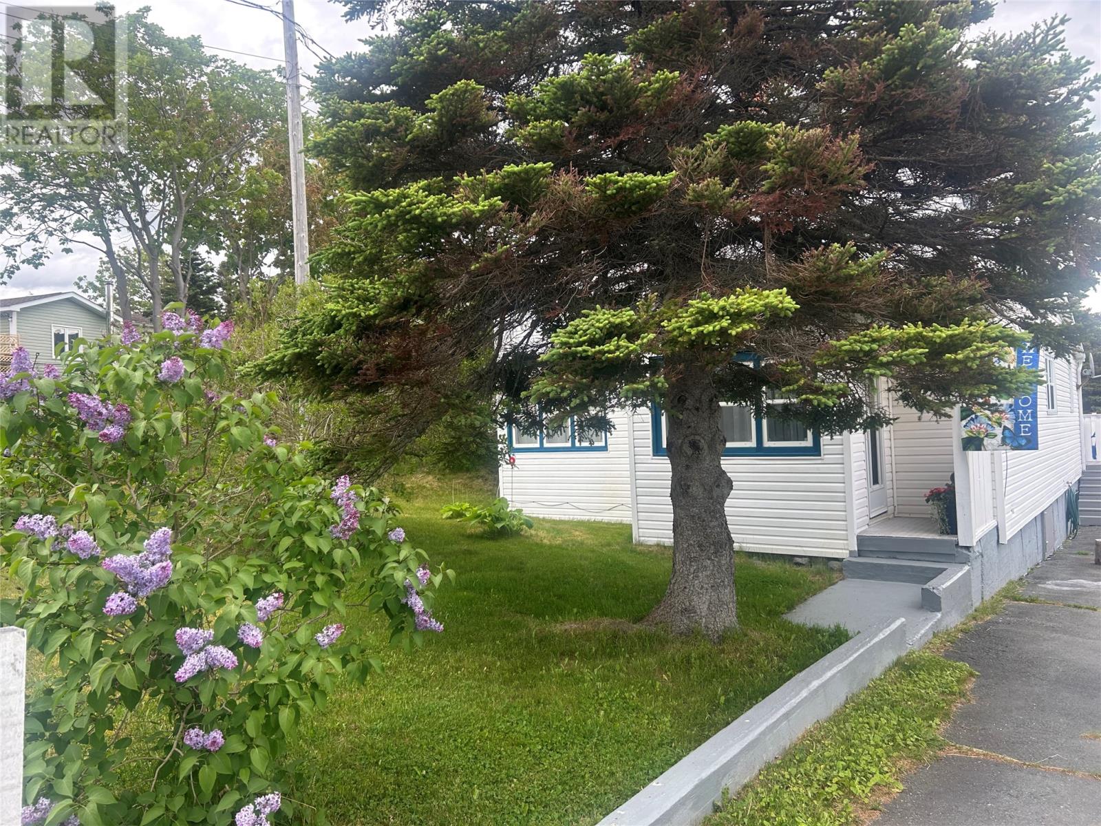 336 Main Road, Winterton, Newfoundland & Labrador  A0A 3M0 - Photo 5 - 1300218