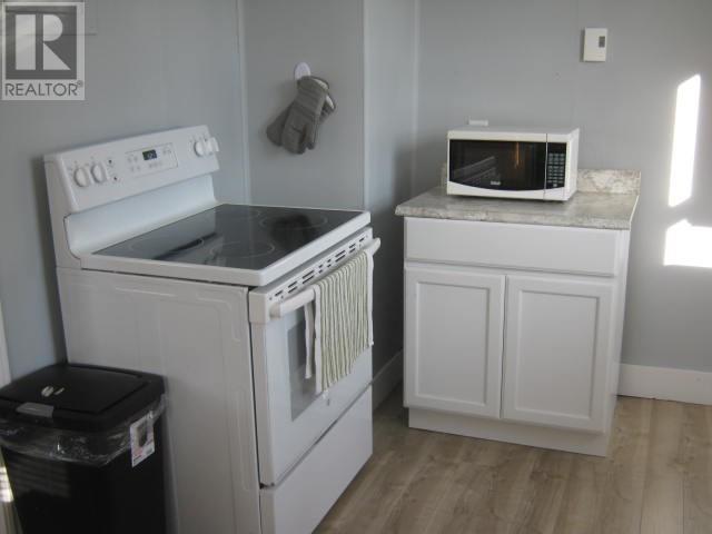 149 Georgetown Road, Corner Brook, Newfoundland & Labrador  A2H 3X3 - Photo 5 - 1300236