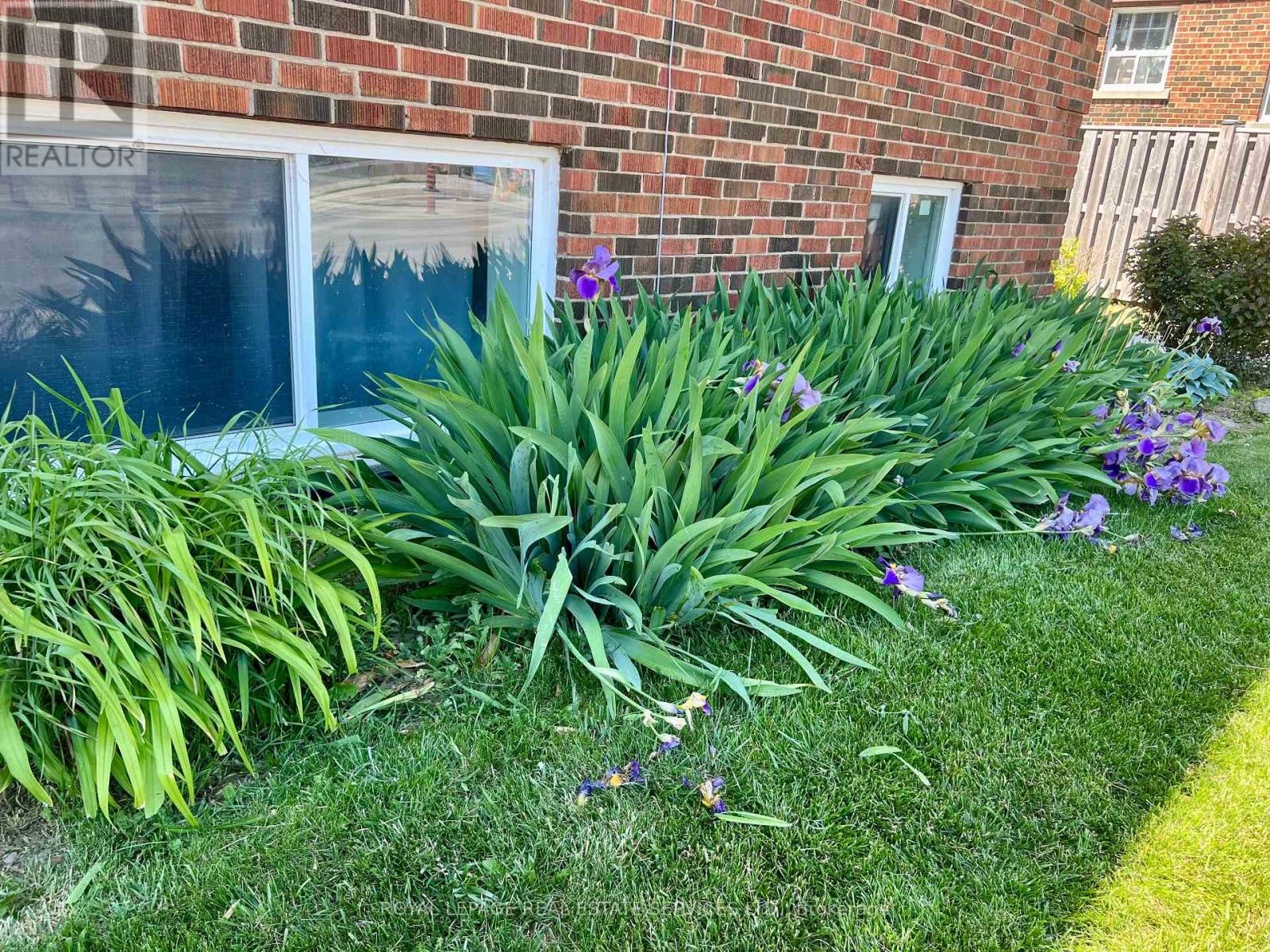 2 - 320 Lakeshore Road, Mississauga, Ontario  L5H 1G8 - Photo 20 - W13547858