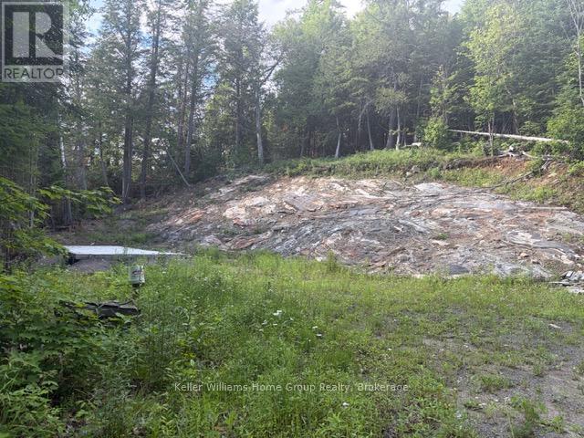 232 Clarke Road, Highlands East, Ontario  K0L 2A0 - Photo 3 - X13023442