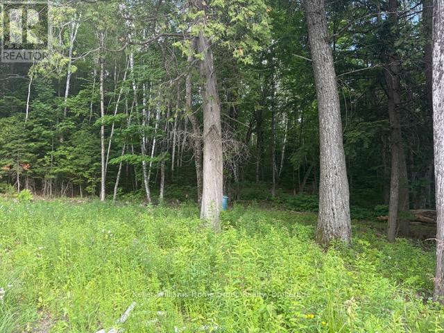 232 Clarke Road, Highlands East, Ontario  K0L 2A0 - Photo 2 - X13023442