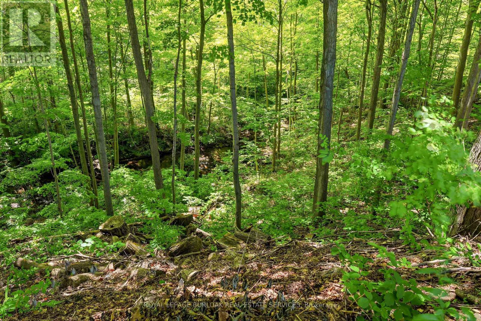 2150 East Street, Burlington, Ontario  L7P 0M3 - Photo 42 - W13549596