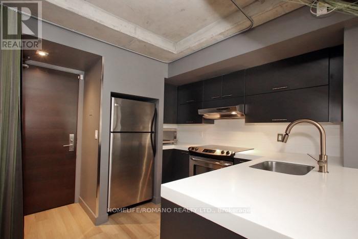 101 - 49 Stewart Street, Toronto, Ontario  M5V 2V1 - Photo 10 - C13549766