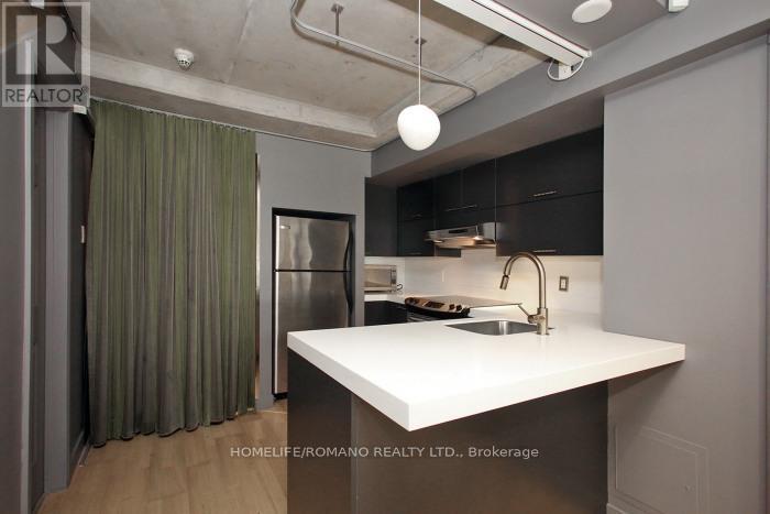 101 - 49 Stewart Street, Toronto, Ontario  M5V 2V1 - Photo 11 - C13549766