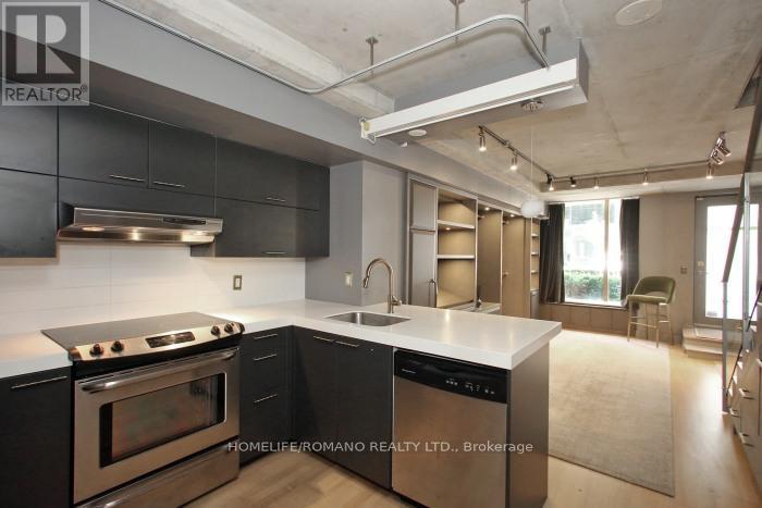 101 - 49 Stewart Street, Toronto, Ontario  M5V 2V1 - Photo 9 - C13549766
