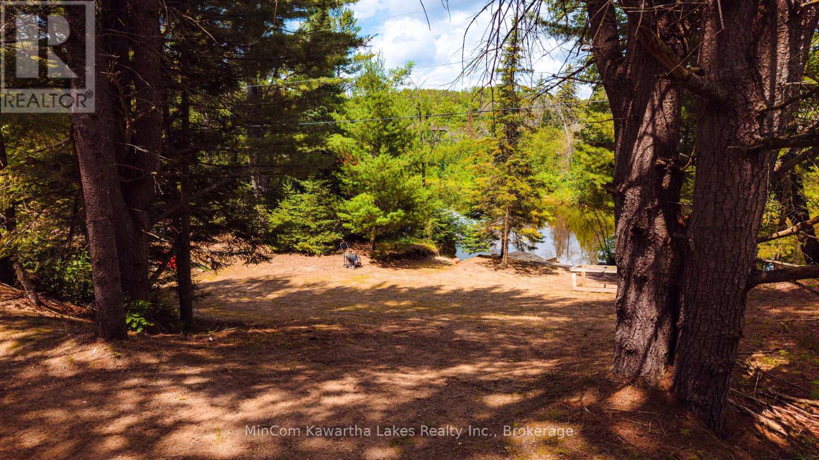 1503 Boldts Lane, Minden Hills, Ontario  K0M 2A1 - Photo 12 - X13548384