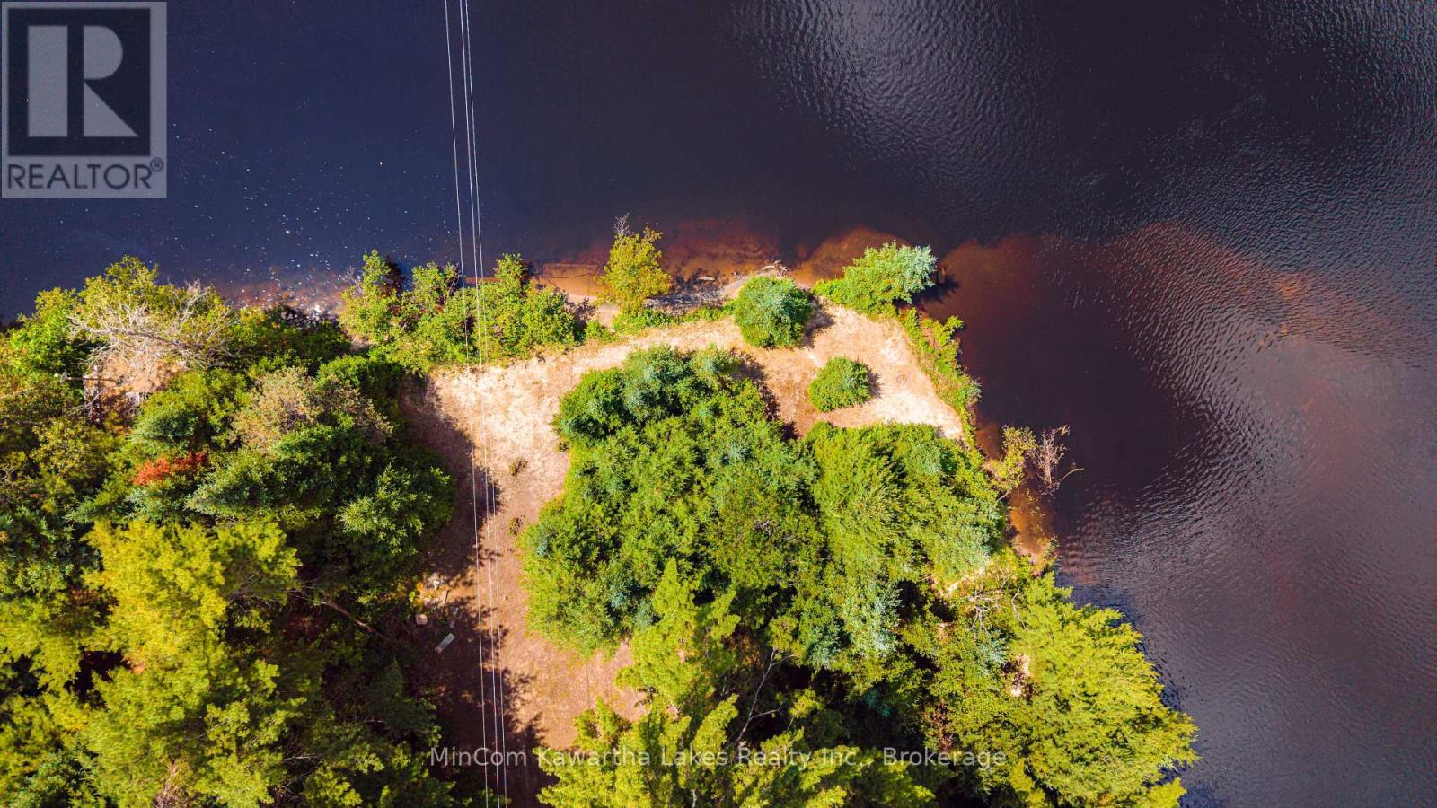 1503 Boldts Lane, Minden Hills, Ontario  K0M 2A1 - Photo 4 - X13548384