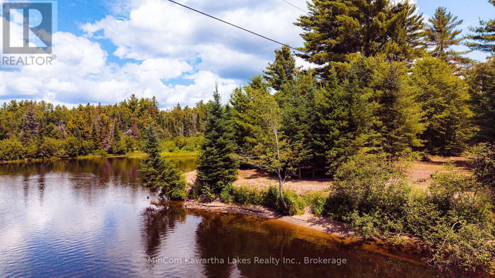 1503 Boldts Lane, Minden Hills, Ontario  K0M 2A1 - Photo 2 - X13548384