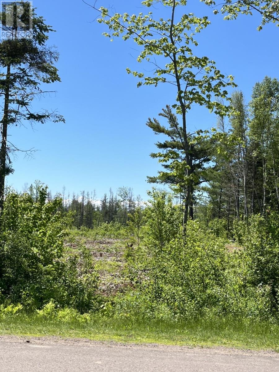 Lot 2026-2 Taranrum Road, Websters Corner, Prince Edward Island  C1B 3H6 - Photo 11 - 202617214