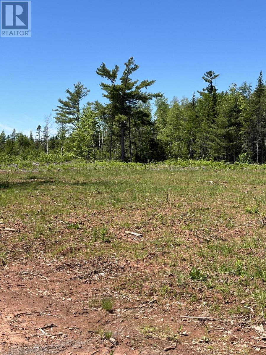 Lot 2026-2 Taranrum Road, Websters Corner, Prince Edward Island  C1B 3H6 - Photo 12 - 202617214