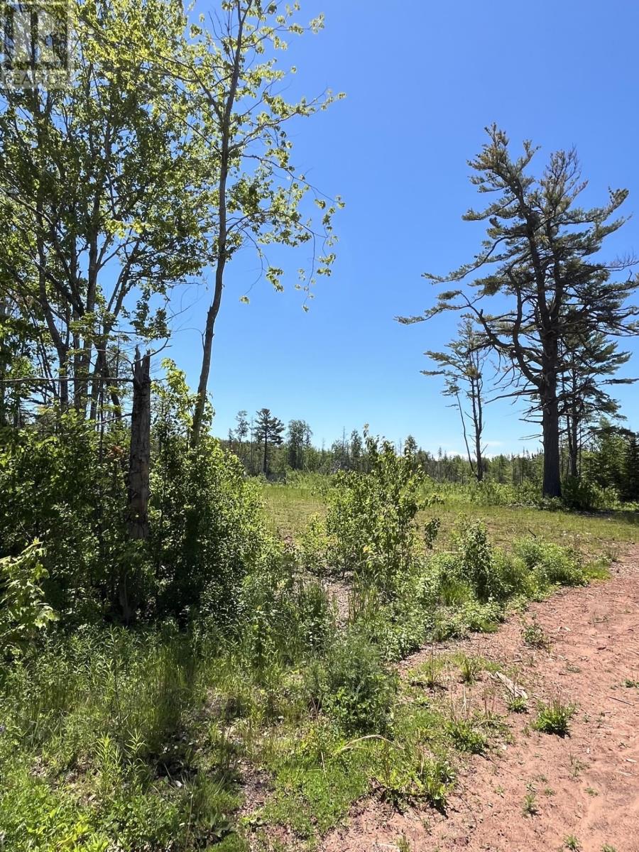 Lot 2026-2 Taranrum Road, Websters Corner, Prince Edward Island  C1B 3H6 - Photo 4 - 202617214