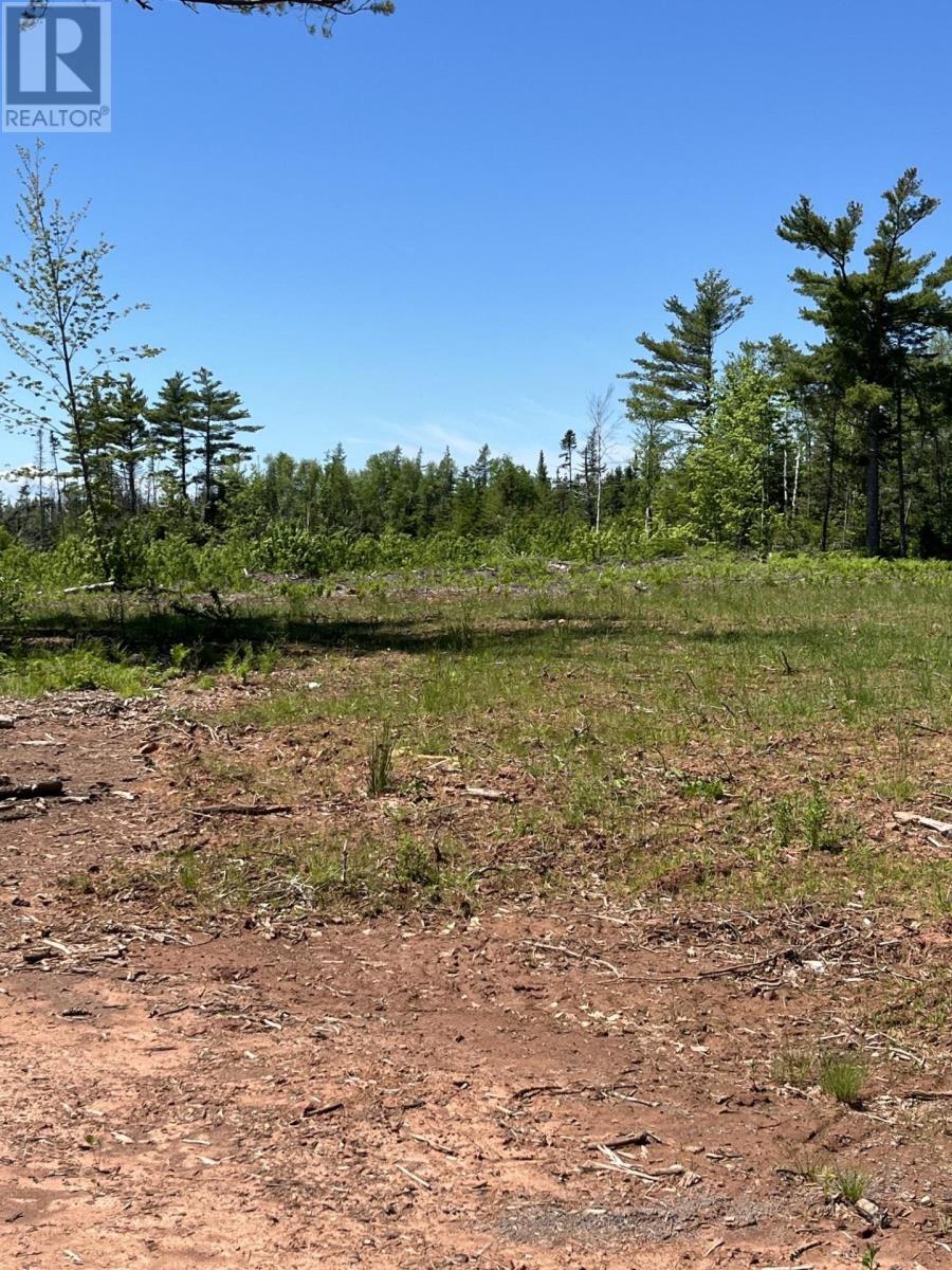 Lot 2026-2 Taranrum Road, Websters Corner, Prince Edward Island  C1B 3H6 - Photo 8 - 202617214