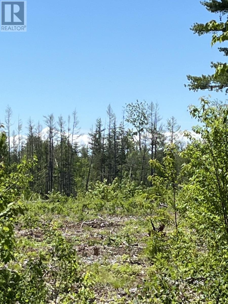 Lot 2026-2 Taranrum Road, Websters Corner, Prince Edward Island  C1B 3H6 - Photo 16 - 202617214