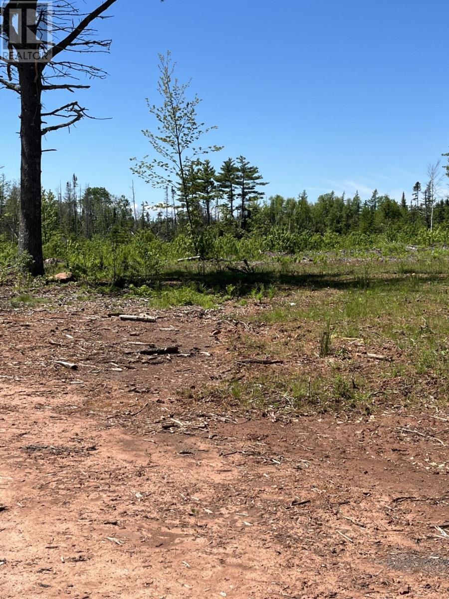 Lot 2026-2 Taranrum Road, Websters Corner, Prince Edward Island  C1B 3H6 - Photo 5 - 202617214