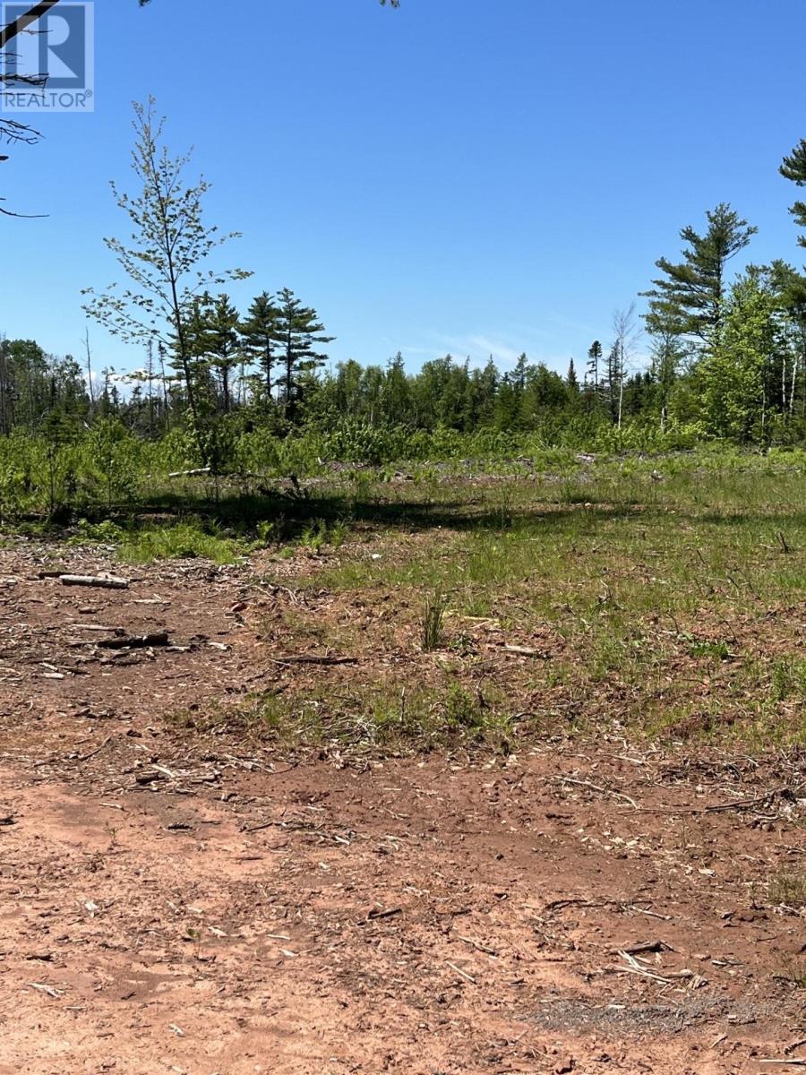 Lot 2026-2 Taranrum Road, Websters Corner, Prince Edward Island  C1B 3H6 - Photo 13 - 202617214