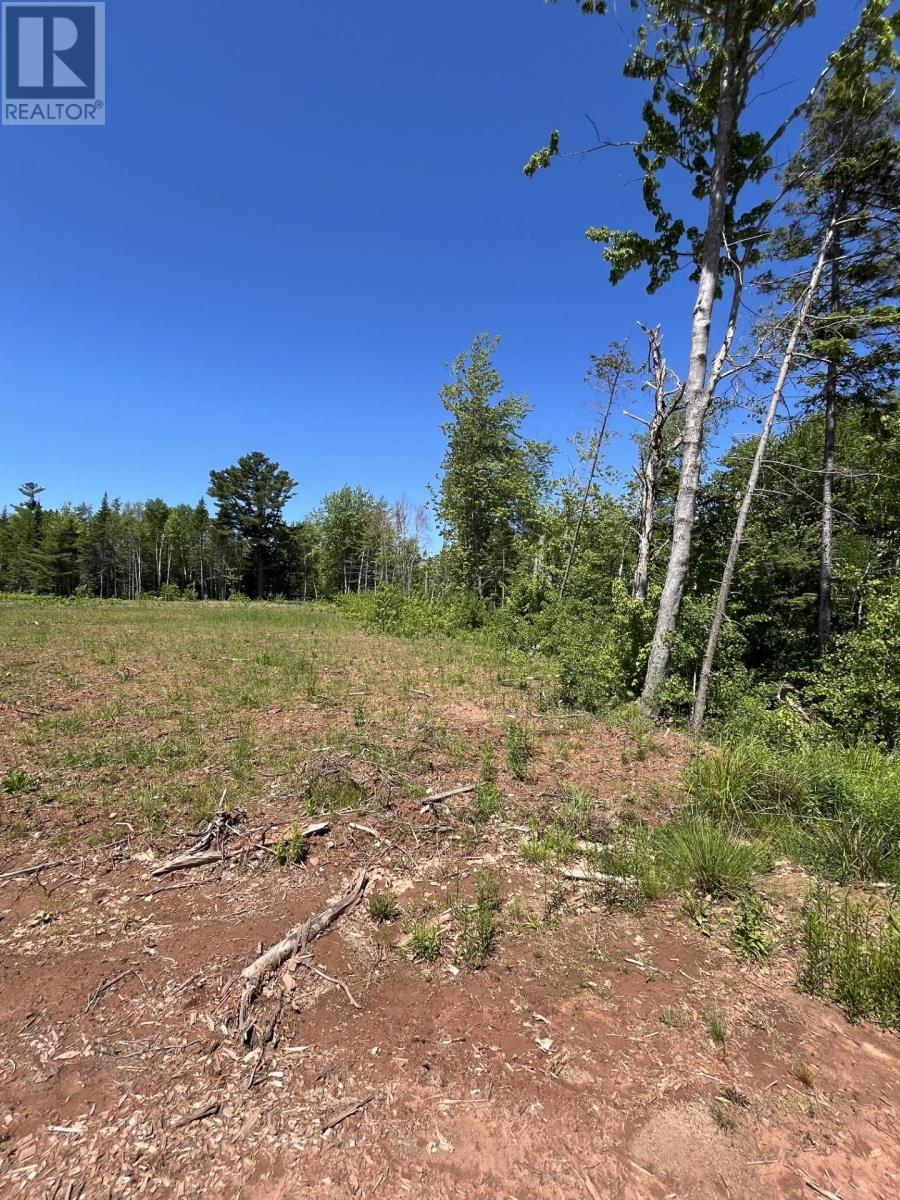 Lot 2026-2 Taranrum Road, Websters Corner, Prince Edward Island  C1B 3H6 - Photo 6 - 202617214