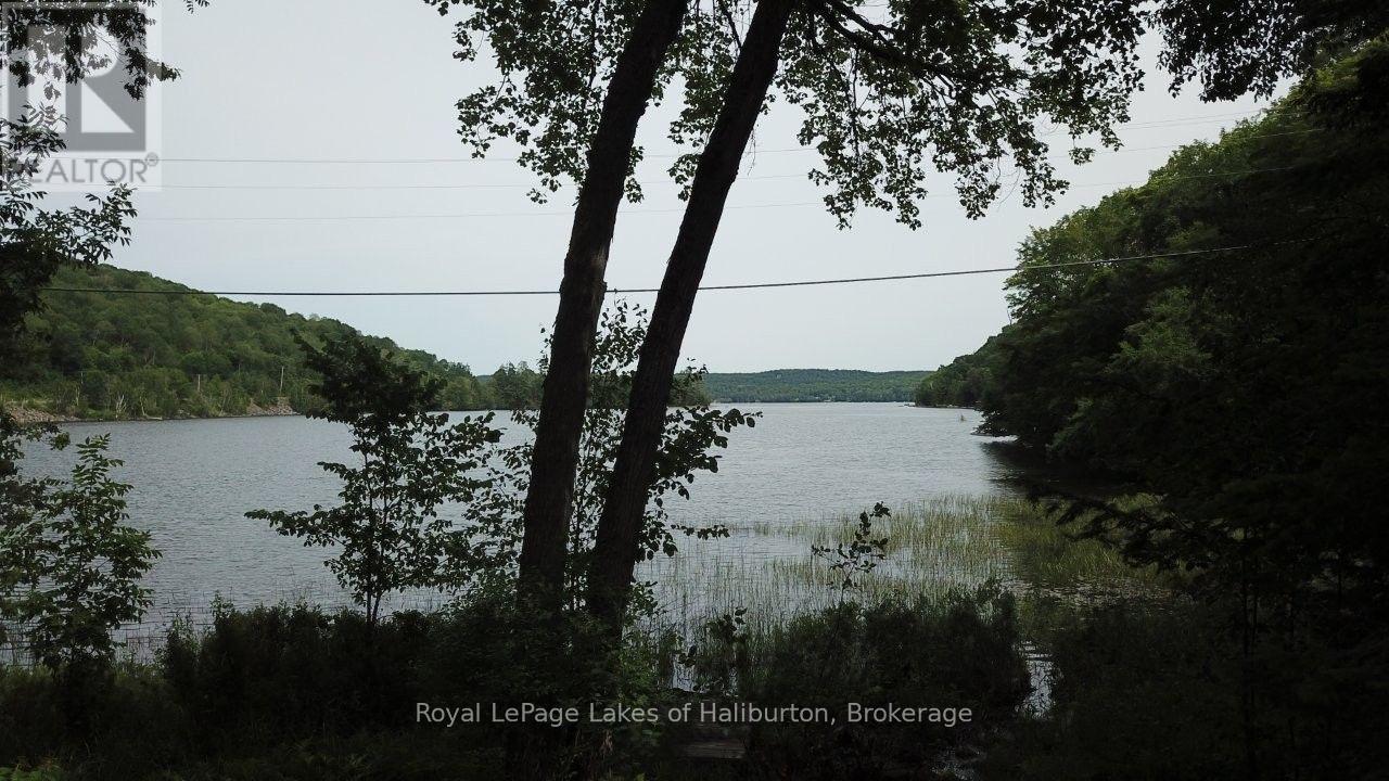 3040 Haliburton Lake Road, Dysart Et Al (Guilford), Ontario  K0M 1S0 - Photo 32 - X13549832