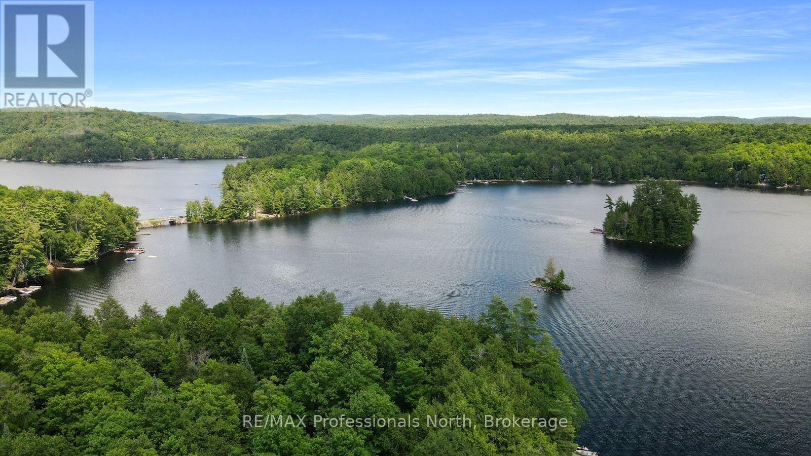1042 Platinum Bay Road, Dysart Et Al (Havelock), Ontario  K0M 1S0 - Photo 39 - X13549864