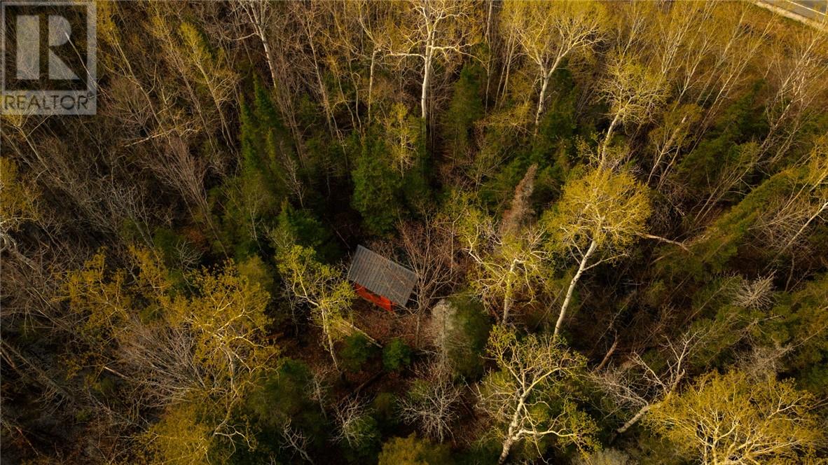 81 High Falls Road, Assiginack, Ontario  P0P 1N0 - Photo 4 - 2126371