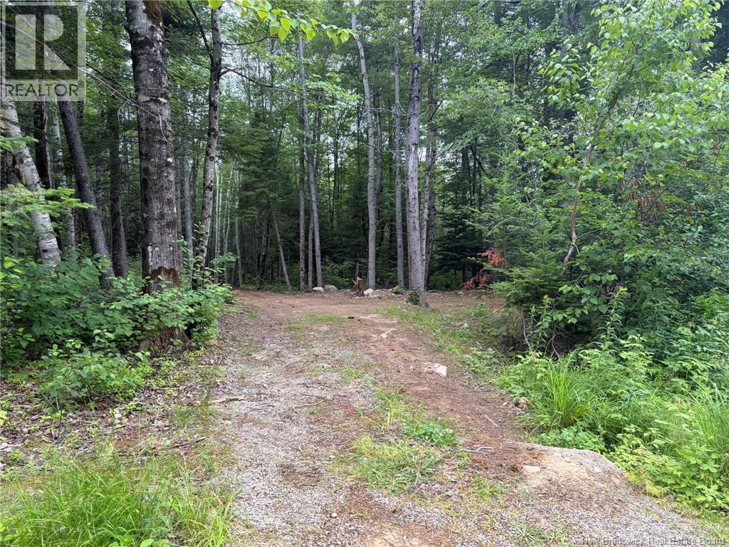 0 Tucker Lane, White Rapids, New Brunswick  E3B 4P8 - Photo 2 - NB129391