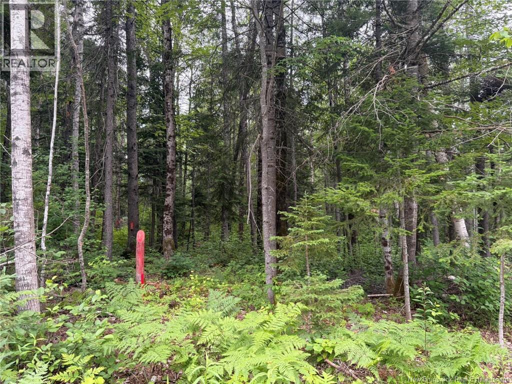 0 Tucker Lane, White Rapids, New Brunswick  E3B 4P8 - Photo 10 - NB129391