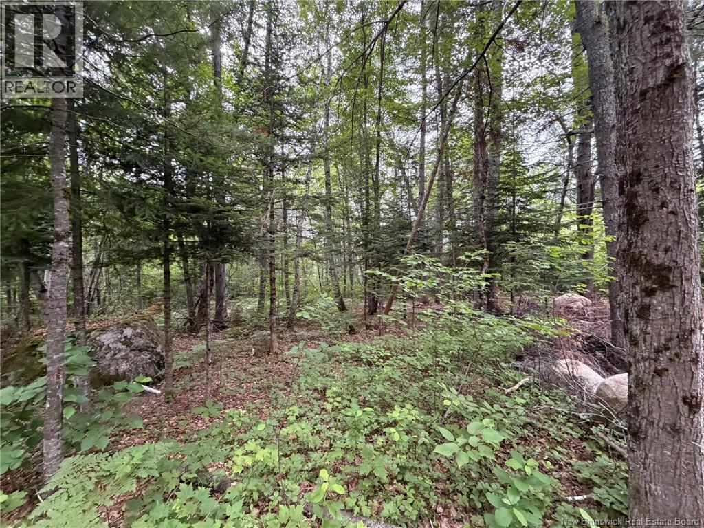 0 Tucker Lane, White Rapids, New Brunswick  E3B 4P8 - Photo 8 - NB129391
