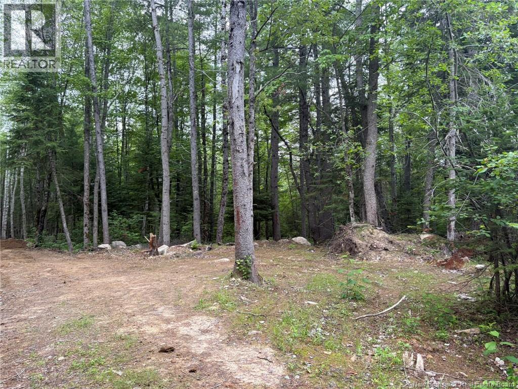 0 Tucker Lane, White Rapids, New Brunswick  E3B 4P8 - Photo 3 - NB129391